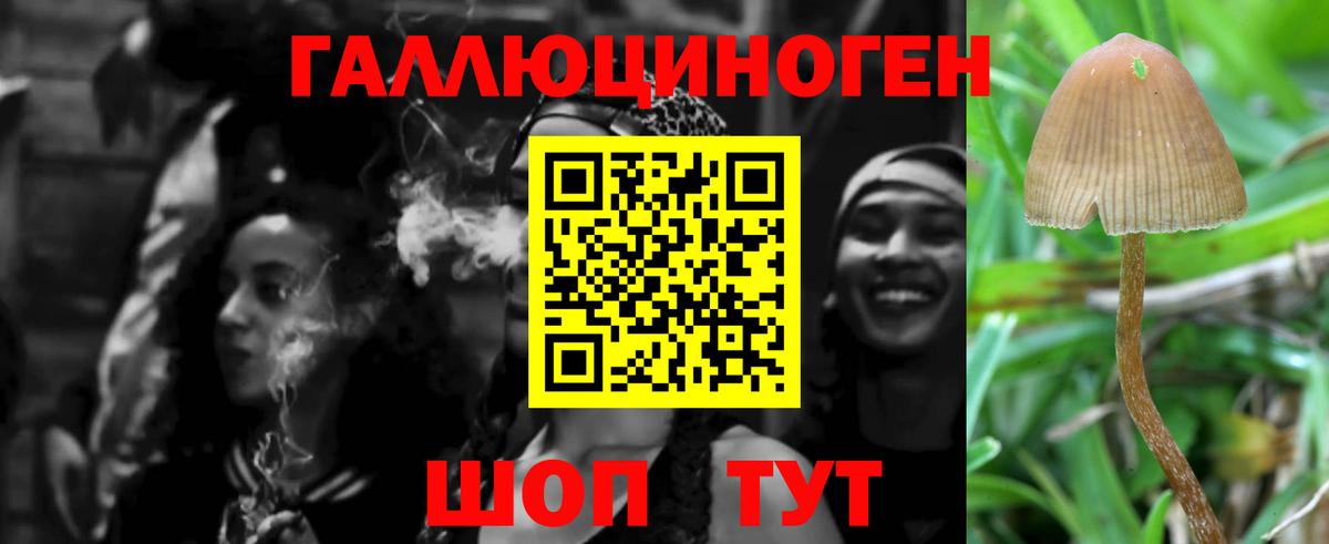 как найти закладки  Вход с VPN  Холмск  Псилоцибиновые грибы GOLDEN TEACHER 