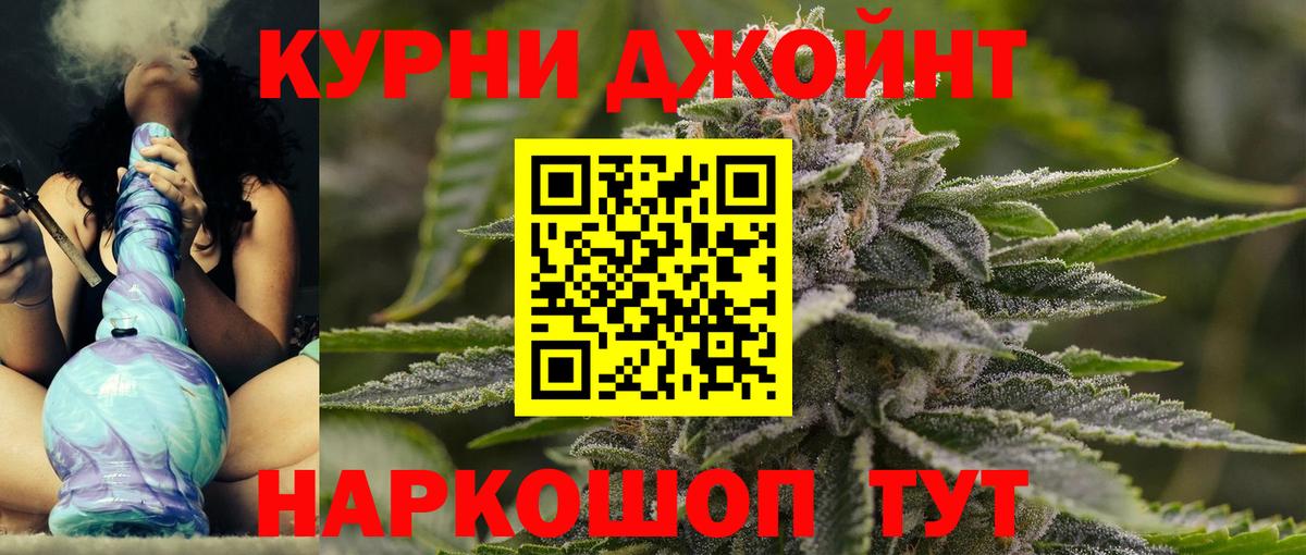 Бошки Шишки планчик Холмск